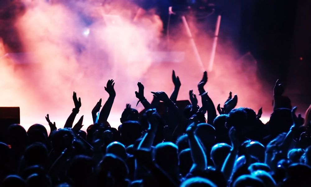 Konser Güvenlik Görevlisi