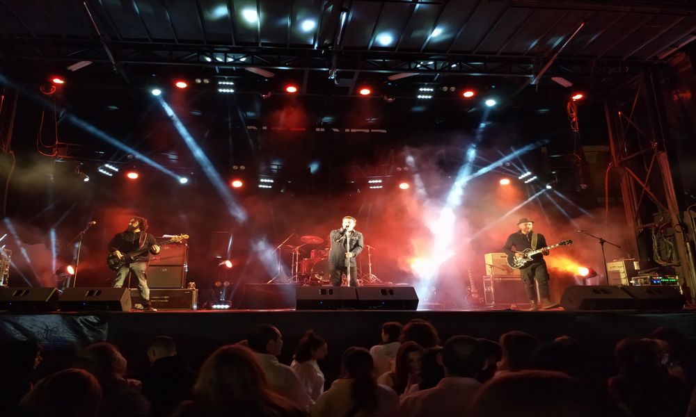 Konser Güvenlik Görevlisi
